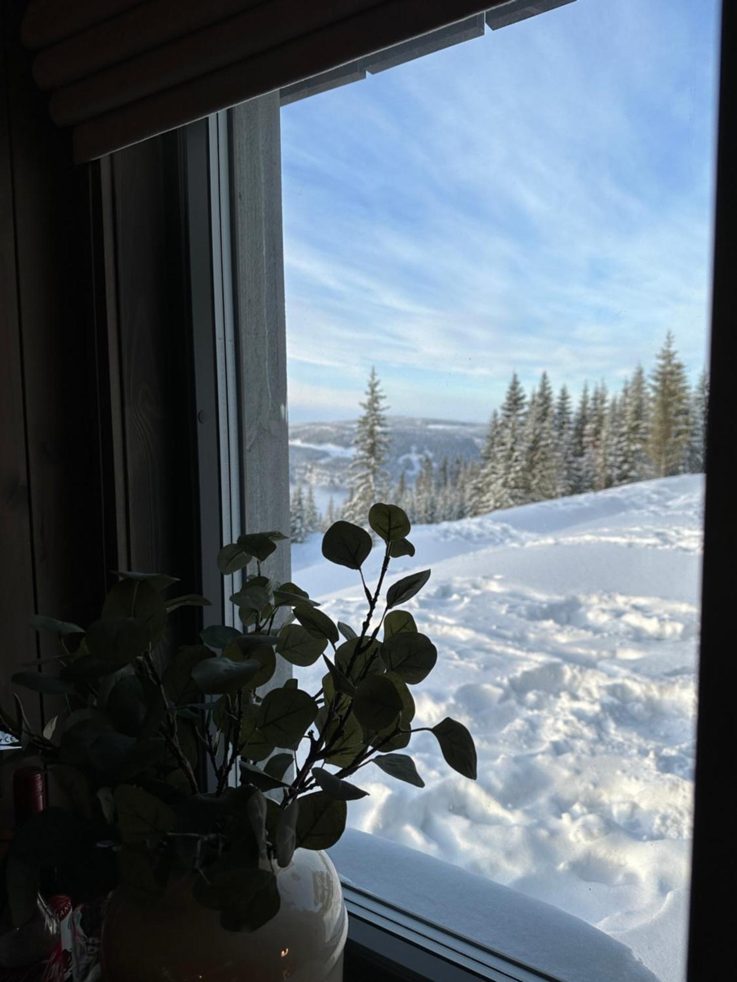 Hafjell Front 8Pers, Ski In/Out. Downhill Bike Exterior photo